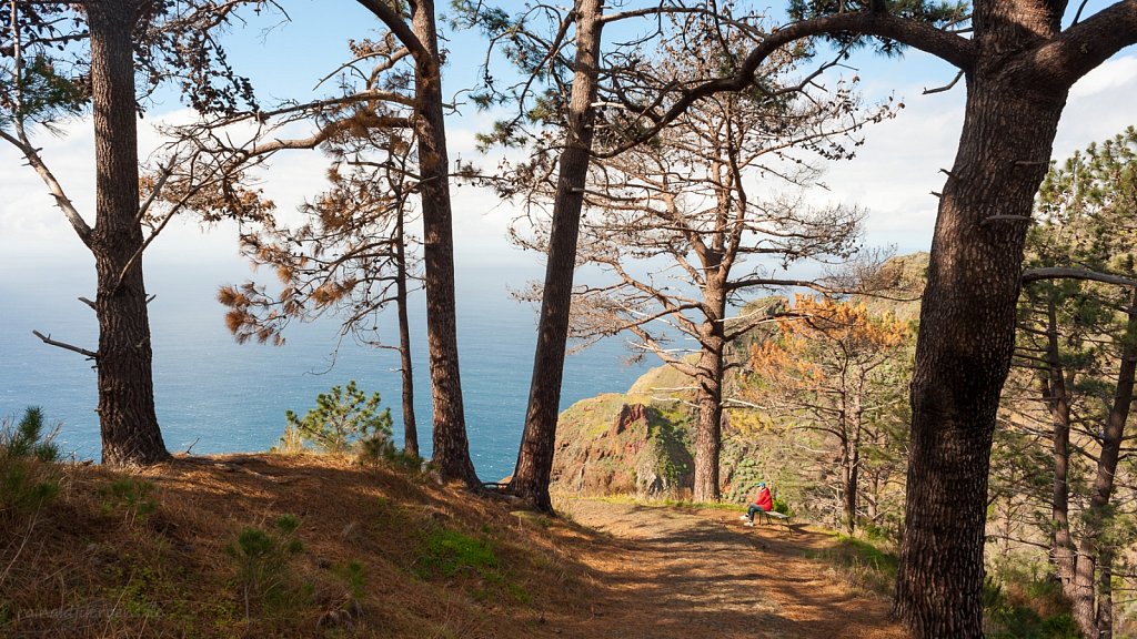 Wandern von "Prazeres" Steilküste hinunter nach "Paul do Mar", Madeira